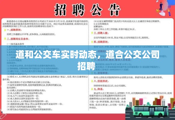 道和公交车实时动态，道合公交公司招聘 