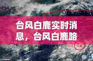 台风白鹿实时消息，台风白鹿路径图 