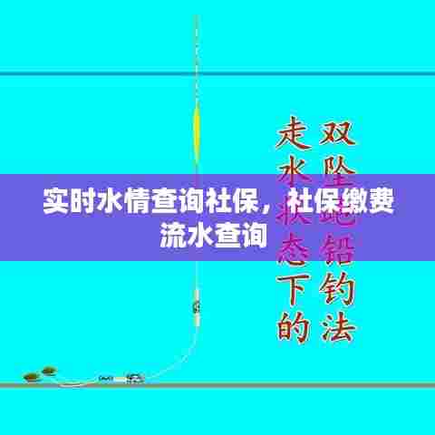 实时水情查询社保，社保缴费流水查询 