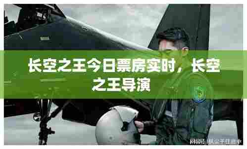 长空之王今日票房实时，长空之王导演 