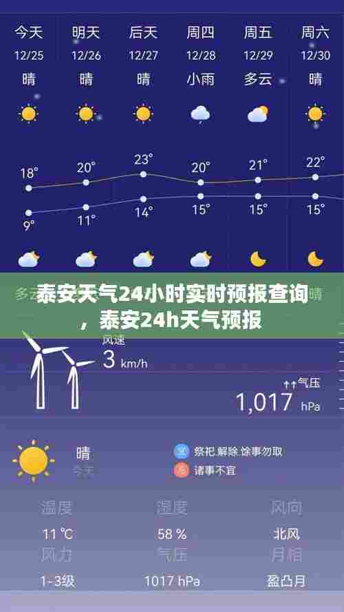 泰安天气24小时实时预报查询，泰安24h天气预报 