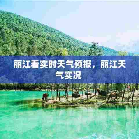 丽江看实时天气预报，丽江天气实况 