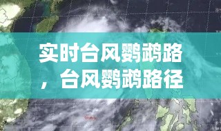 实时台风鹦鹉路，台风鹦鹉路径实时 