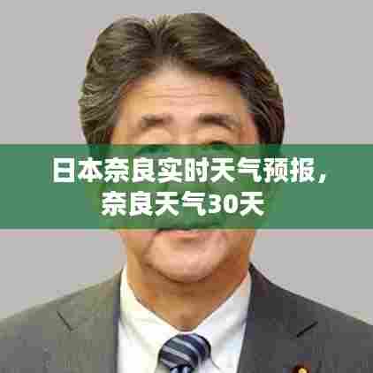 日本奈良实时天气预报，奈良天气30天 