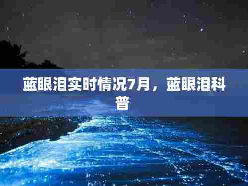 蓝眼泪实时情况7月，蓝眼泪科普 