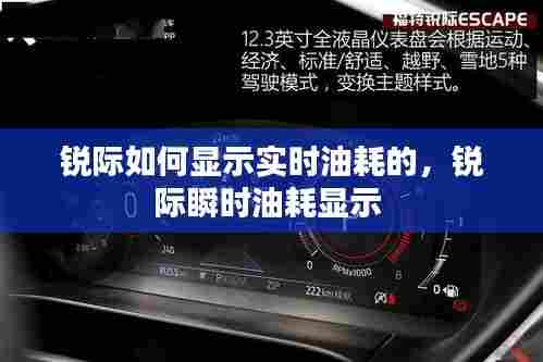 锐际如何显示实时油耗的，锐际瞬时油耗显示 