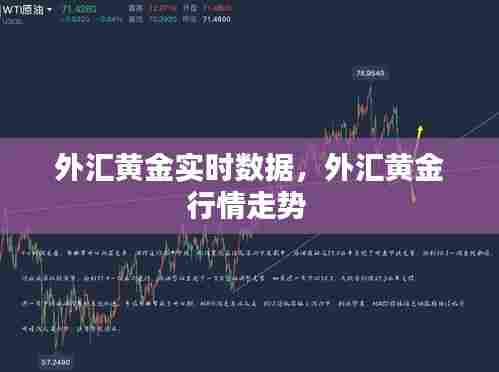外汇黄金实时数据，外汇黄金行情走势 