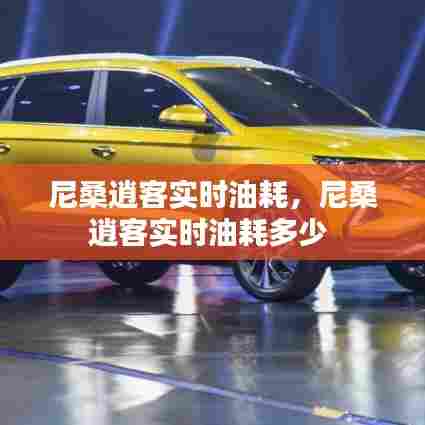 尼桑逍客实时油耗，尼桑逍客实时油耗多少 