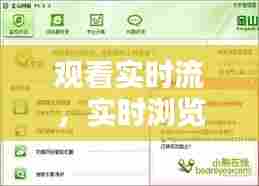 观看实时流，实时浏览 