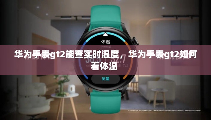 华为手表gt2能查实时温度，华为手表gt2如何看体温 