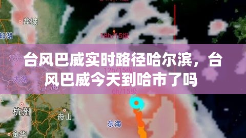 台风巴威实时路径哈尔滨，台风巴威今天到哈市了吗 