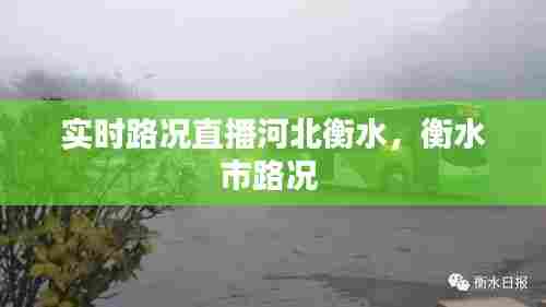 实时路况直播河北衡水，衡水市路况 