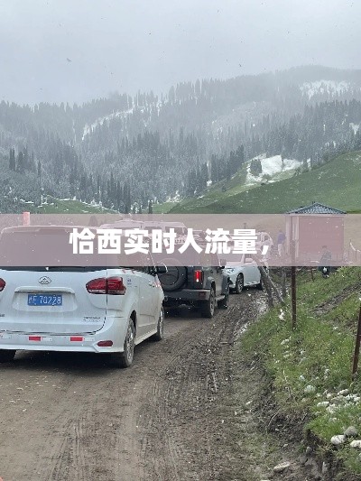 恰西实时人流量， 