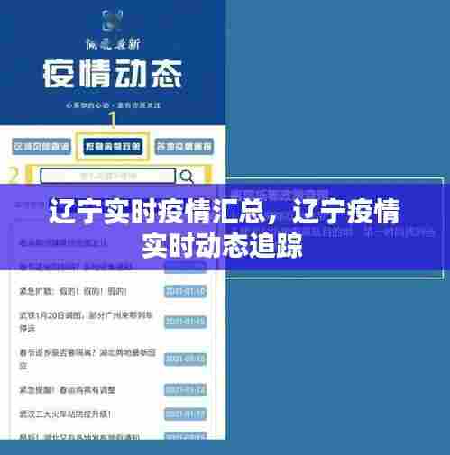 辽宁实时疫情汇总，辽宁疫情实时动态追踪 