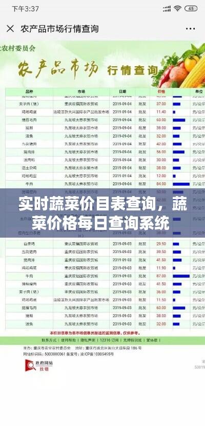 实时蔬菜价目表查询，蔬菜价格每日查询系统 