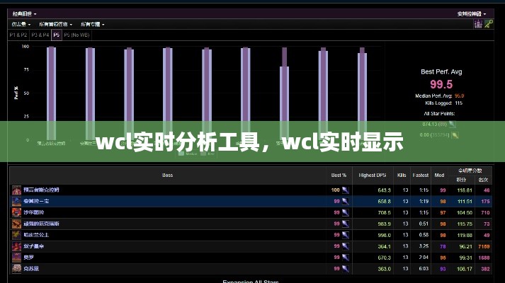 wcl实时分析工具，wcl实时显示 