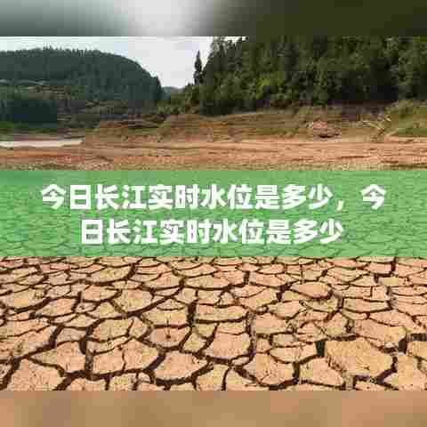 今日长江实时水位是多少，今日长江实时水位是多少 