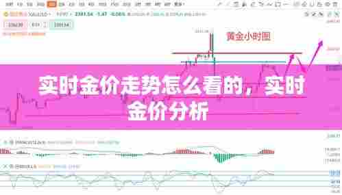 实时金价走势怎么看的，实时金价分析 