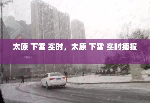 太原 下雪 实时，太原 下雪 实时播报 
