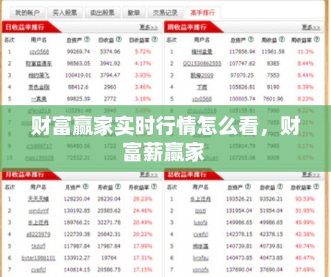 财富赢家实时行情怎么看，财富薪赢家 