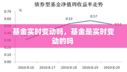 基金实时变动吗，基金是实时变动的吗 