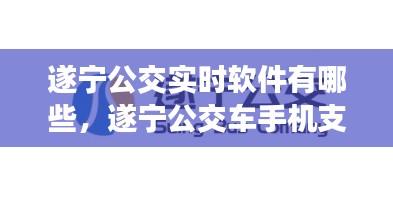 遂宁公交实时软件有哪些，遂宁公交车手机支付小程序 