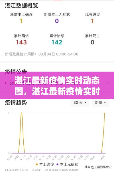 湛江最新疫情实时动态图，湛江最新疫情实时动态图查询 