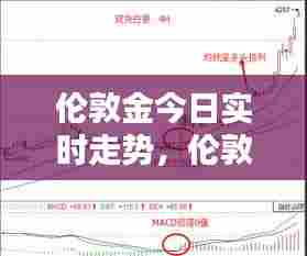 伦敦金今日实时走势，伦敦金实时价格走势图 