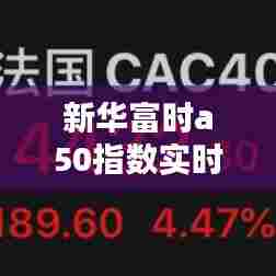 新华富时a50指数实时情况，新华富时a50指数实时行情 