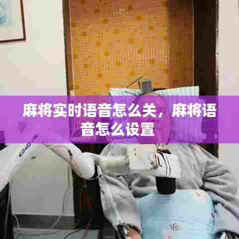 麻将实时语音怎么关，麻将语音怎么设置 