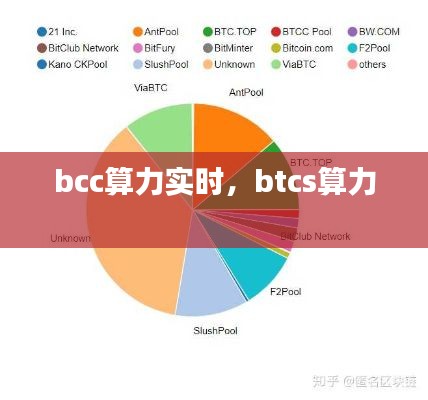 bcc算力实时，btcs算力 