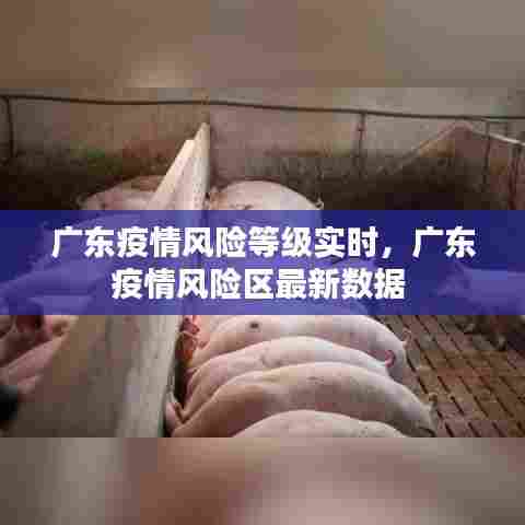 广东疫情风险等级实时，广东疫情风险区最新数据 