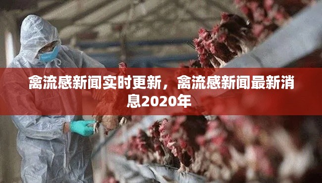 禽流感新闻实时更新，禽流感新闻最新消息2020年 