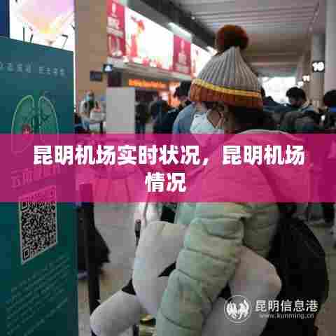 昆明机场实时状况，昆明机场情况 