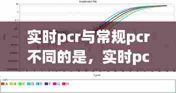 实时pcr与常规pcr不同的是，实时pcr是什么意思 