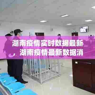 湖南疫情实时数据最新，湖南疫情最新数据消息地图 