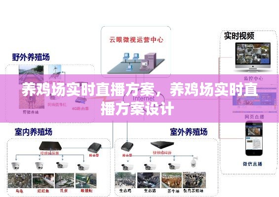 养鸡场实时直播方案，养鸡场实时直播方案设计 