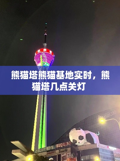熊猫塔熊猫基地实时，熊猫塔几点关灯 