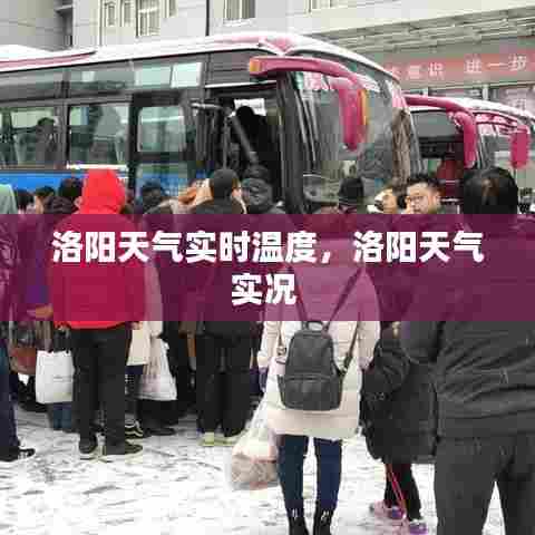 洛阳天气实时温度，洛阳天气实况 