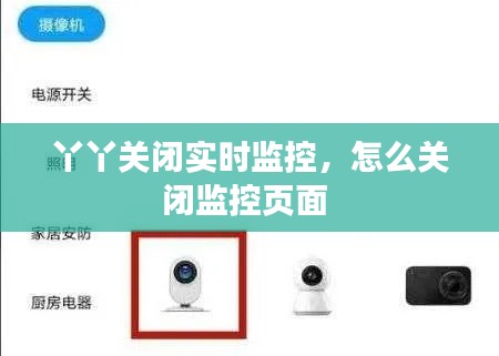 丫丫关闭实时监控，怎么关闭监控页面 