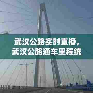 武汉公路实时直播，武汉公路通车里程统计 
