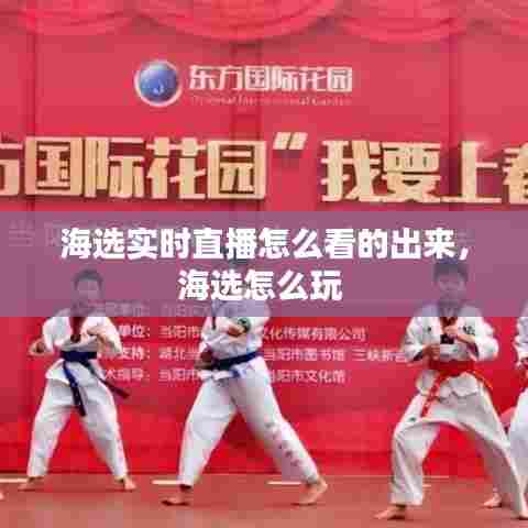 海选实时直播怎么看的出来，海选怎么玩 
