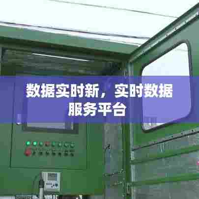 数据实时新，实时数据服务平台 