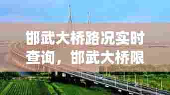 邯武大桥路况实时查询，邯武大桥限号吗 