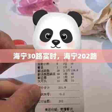 海宁30路实时，海宁202路 