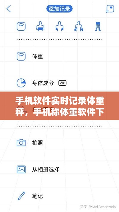 手机软件实时记录体重秤，手机称体重软件下载 