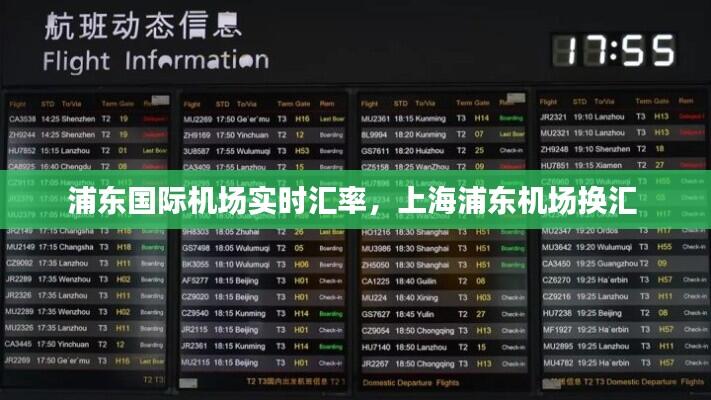 浦东国际机场实时汇率，上海浦东机场换汇 