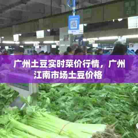 广州土豆实时菜价行情，广州江南市场土豆价格 