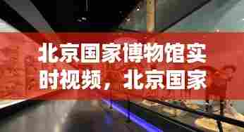 北京国家博物馆实时视频，北京国家博物馆实时视频播放 