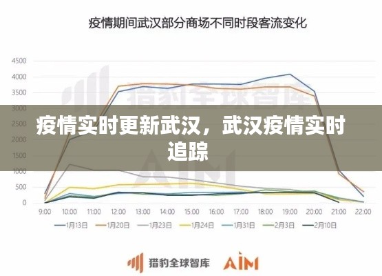 疫情实时更新武汉，武汉疫情实时追踪 